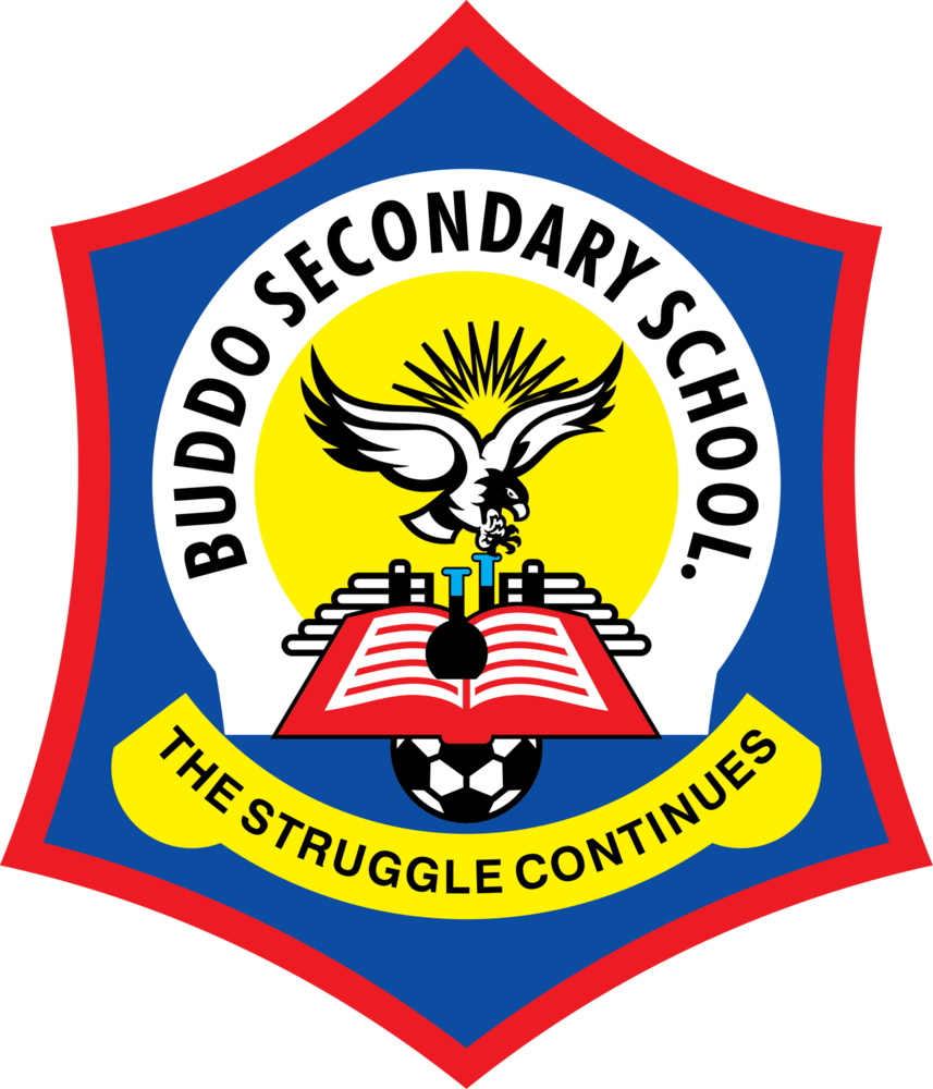 Buddo Secondary School Logo PNG Vector