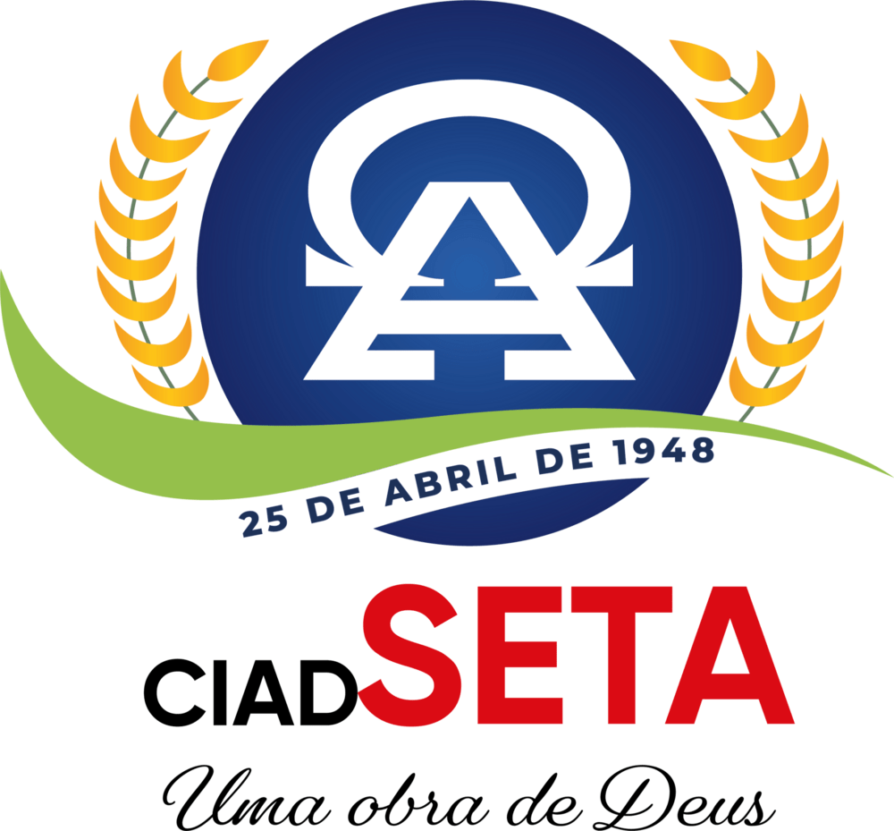 Ciadseta Logo PNG Vector