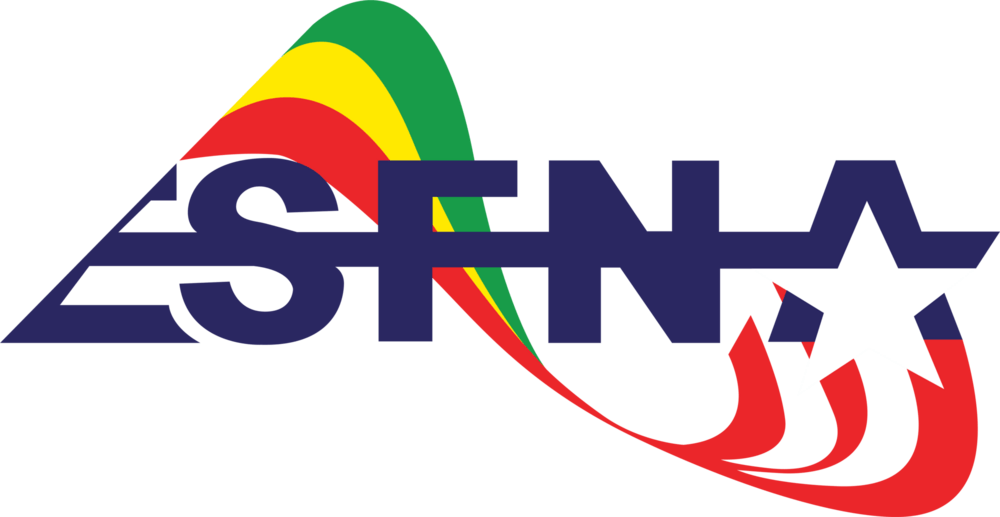 ESFNA Logo PNG Vector