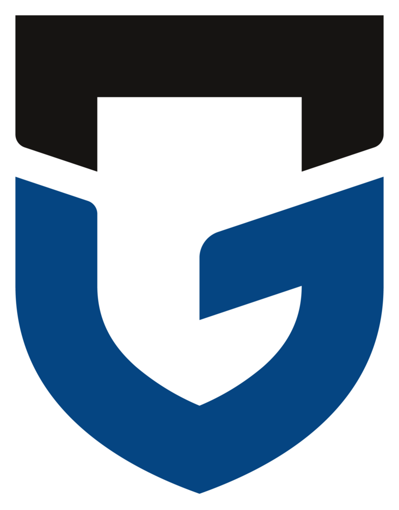 Gamba Osaka Logo PNG Vector