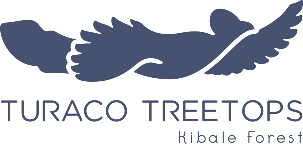 Turaco Treetops Kibale Logo PNG Vector