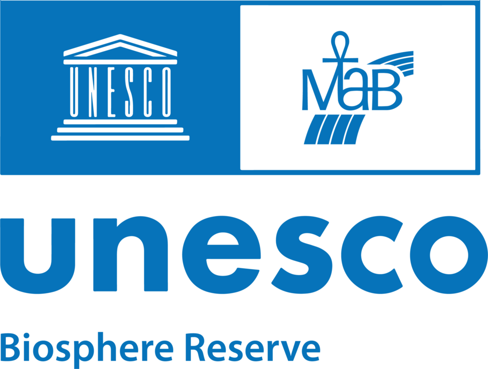 UNESCO Logo PNG Vector