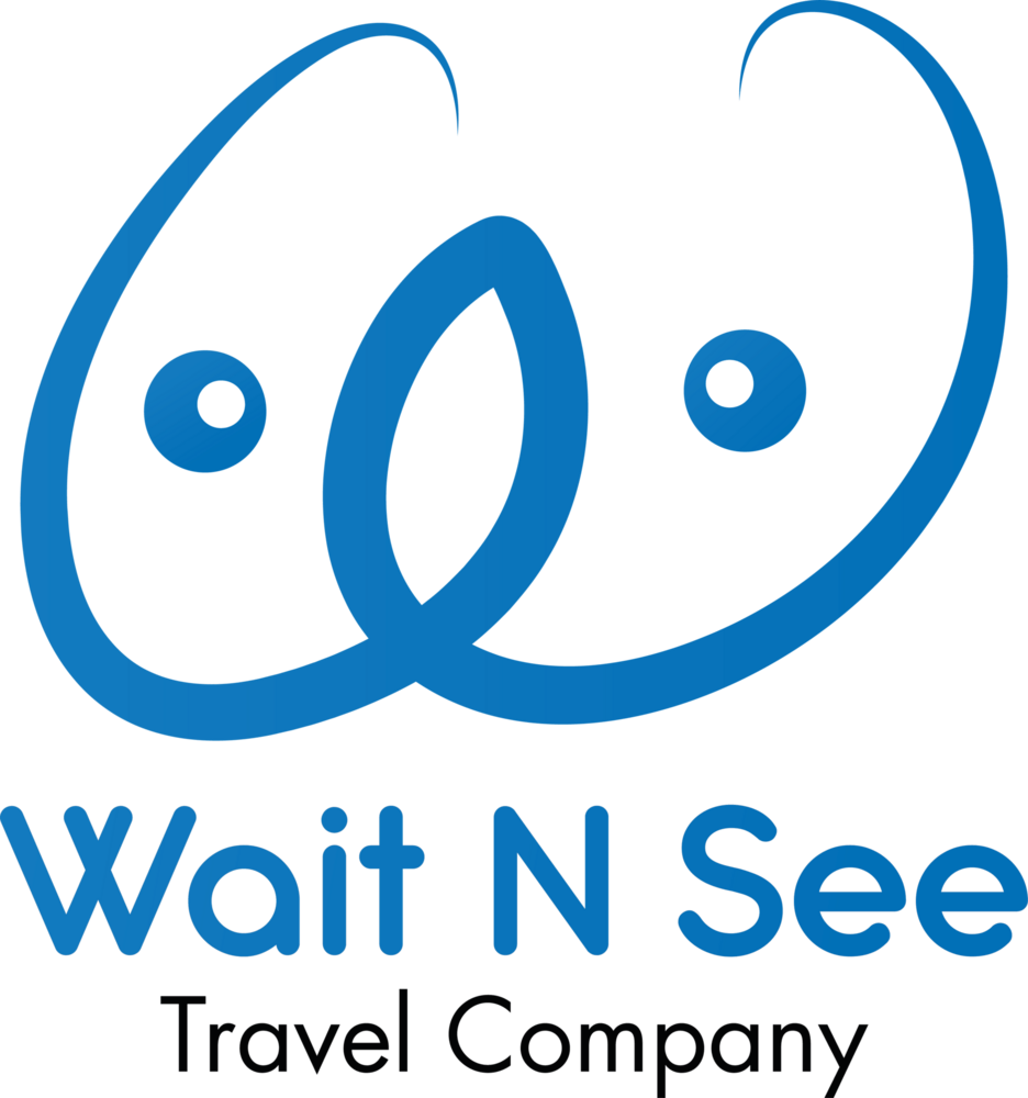 Wait N See Logo PNG Vector