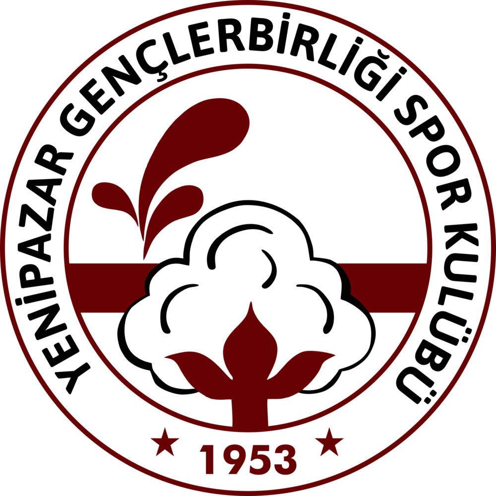 Yenipazar Gençlerbirliği Logo PNG Vector