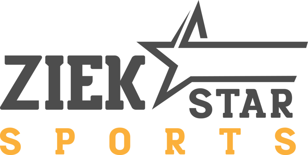 ziek star Logo PNG Vector