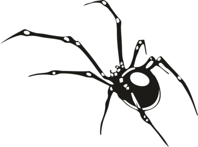 aranha Logo PNG Vector