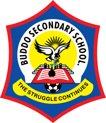 Buddo Secondary School Logo PNG Vector