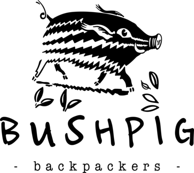 Bushpig Backpackers Hostel Kampala Logo PNG Vector