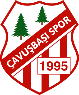 Çavuşbaşıspor Logo PNG Vector