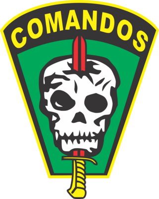 Comandos e Operadores de Forças Especiais (FEs) Logo PNG Vector