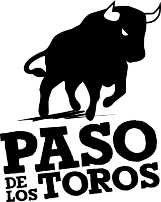 PASO DE LOS TOROS Logo PNG Vector