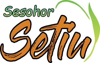 Sesohor Setiu Logo PNG Vector