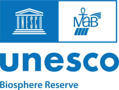 UNESCO Logo PNG Vector