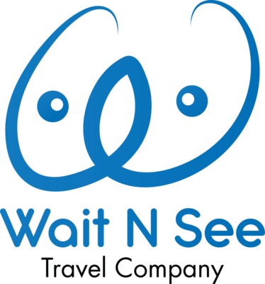 Wait N See Logo PNG Vector