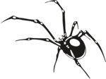 aranha Logo PNG Vector