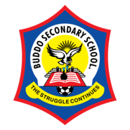 Buddo Secondary School Logo PNG Vector