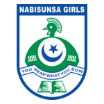 Nabisunsa Girl's School Logo PNG Vector