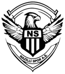 Nazilli Spor A.Ş. Logo PNG Vector