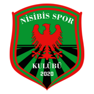 Nisibis Spor Logo PNG Vector
