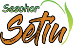 Sesohor Setiu Logo PNG Vector