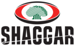 Sheger City Magaalaa Shaggar Logo PNG Vector