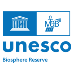 UNESCO Logo PNG Vector