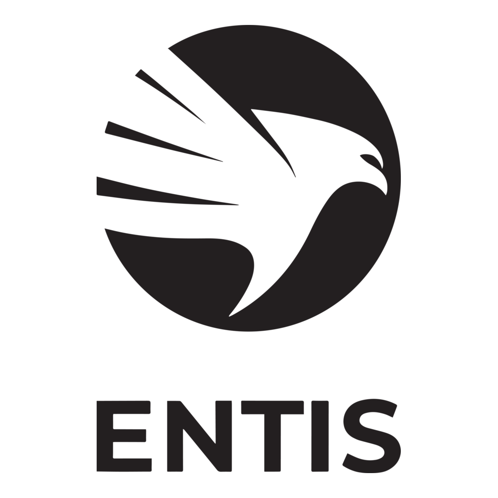 ENTIS Logo PNG Vector