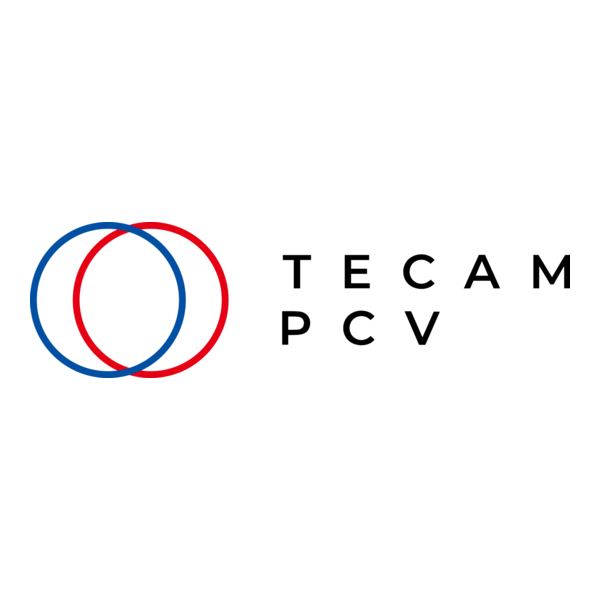 TECAM PCV Logo PNG Vector