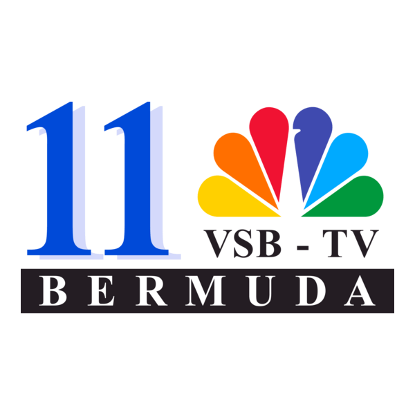 VSB-TV 2007 Logo PNG Vector