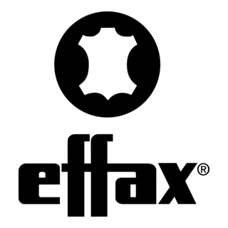 Effax Logo PNG Vector