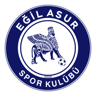 Eğil Asur Spor Logo PNG Vector