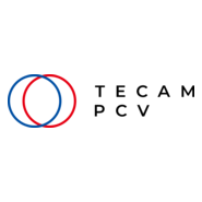 TECAM PCV Logo PNG Vector