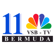 VSB-TV 2007 Logo PNG Vector