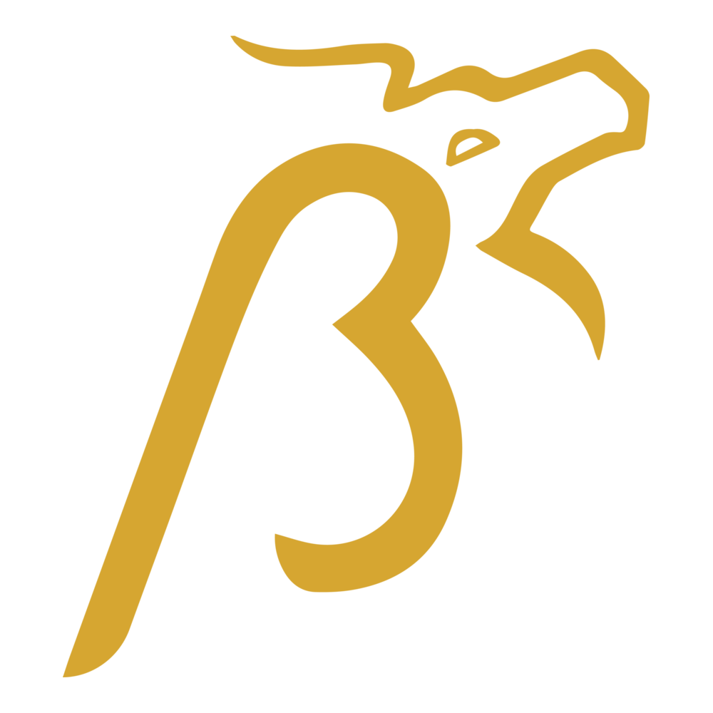 Buraq Air - New Logo PNG Vector