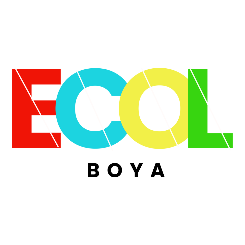 ECOL BOYA Logo PNG Vector