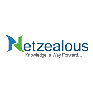 NetZealous Logo PNG Vector