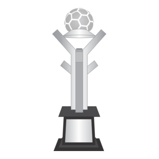 Taça Copa do Brasil 2002/2007 Logo PNG Vector