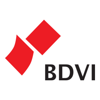 BDVI Logo PNG Vector