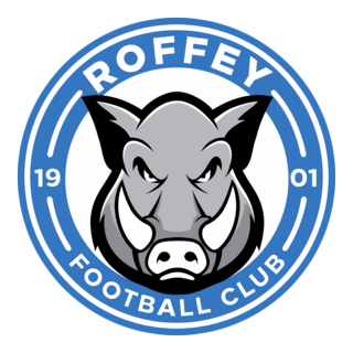 Roffey FC Logo PNG Vector