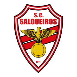 Sport Club Salgueiros (2015) Logo PNG Vector