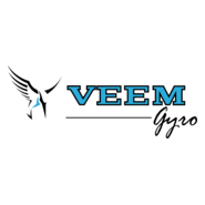 VEEM Gyro Logo PNG Vector