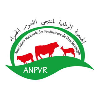 ANPVR MAROC Logo PNG Vector