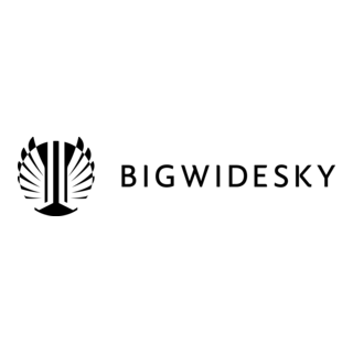 Bigwidesky Logo PNG Vector