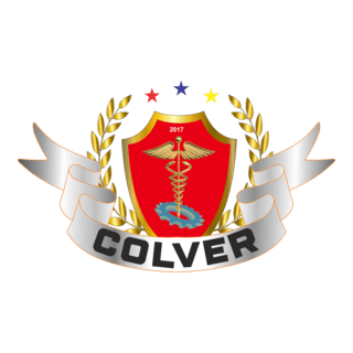 Colegio de Puno Logo PNG Vector