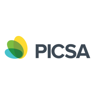 Picsa Logo PNG Vector