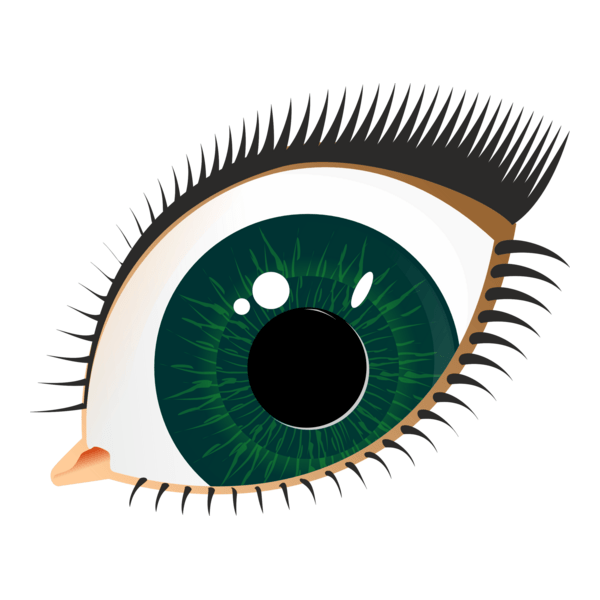 göz Logo PNG Vector