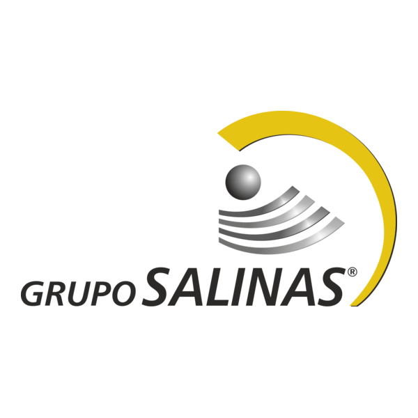 Grupo Salinas Logo PNG Vector