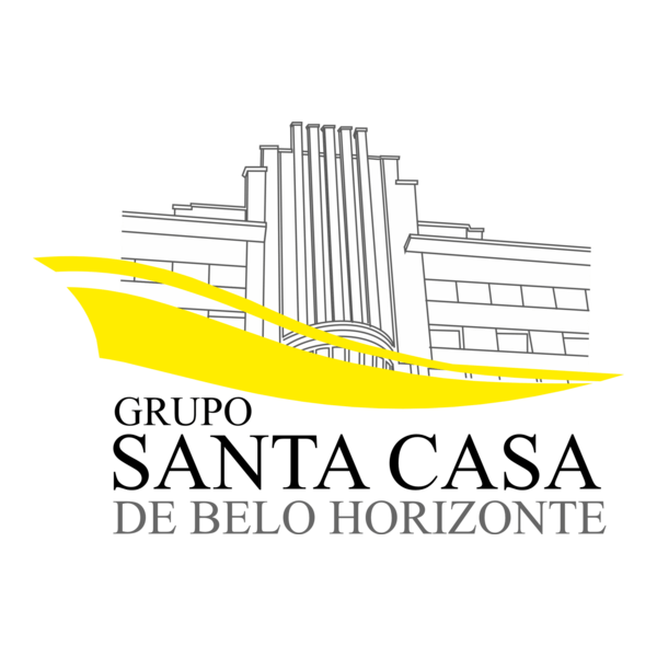 Grupo Santa Casa de Belo Horizonte Logo PNG Vector