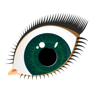 göz Logo PNG Vector
