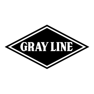 Gray Line Logo PNG Vector